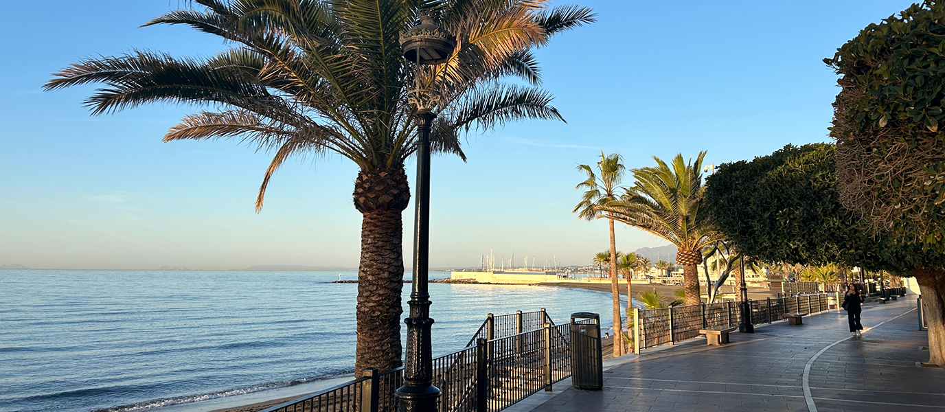 Renovación del Paseo Marítimo